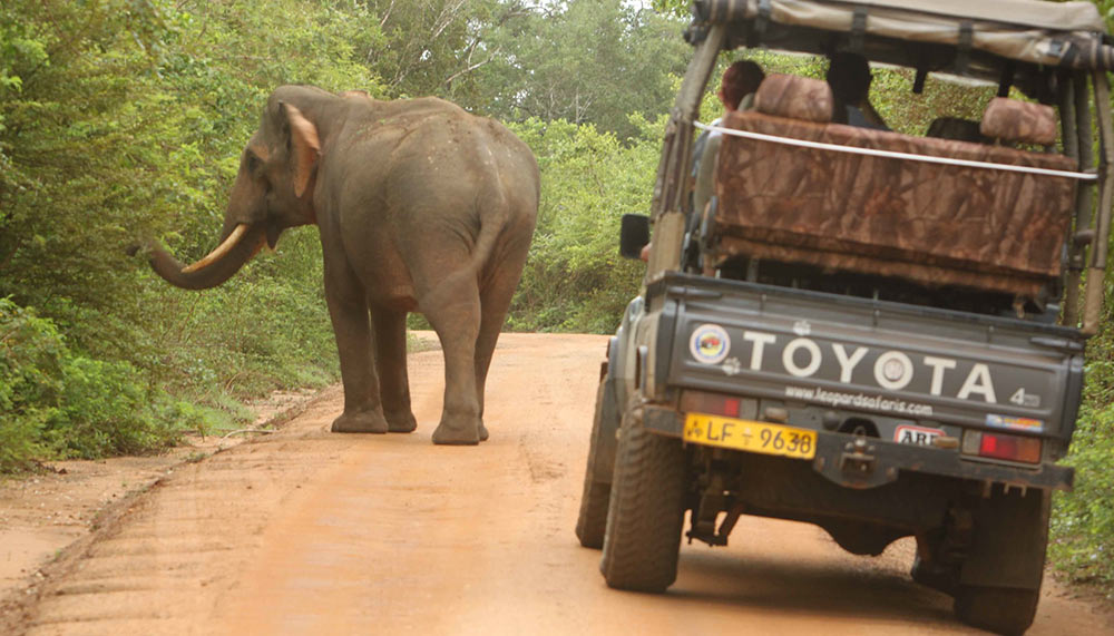 Sri Lanka