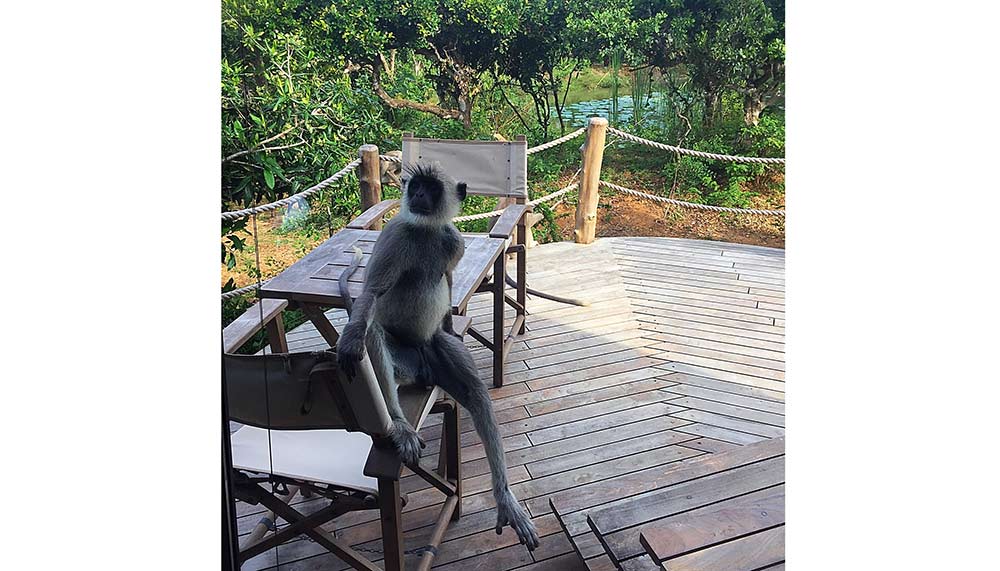 Sri Lanka