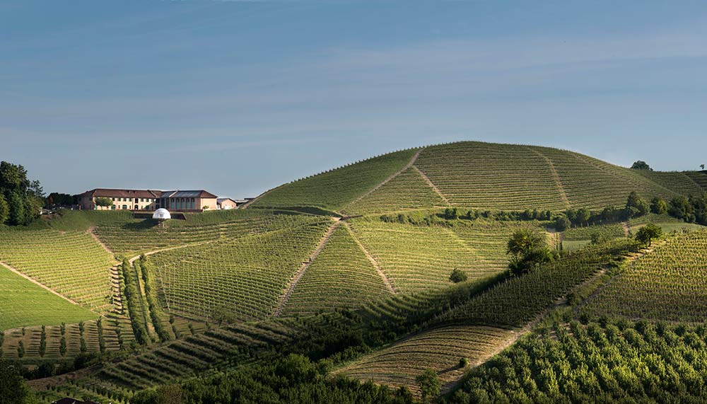 Monsordo Bernardina, Vineyards in Italy