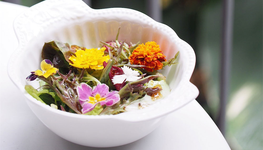 Edible herbs and flowers