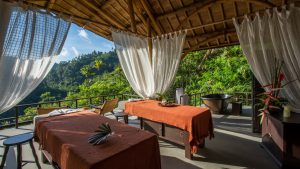 banyan empathy greenwashing robbreport believes