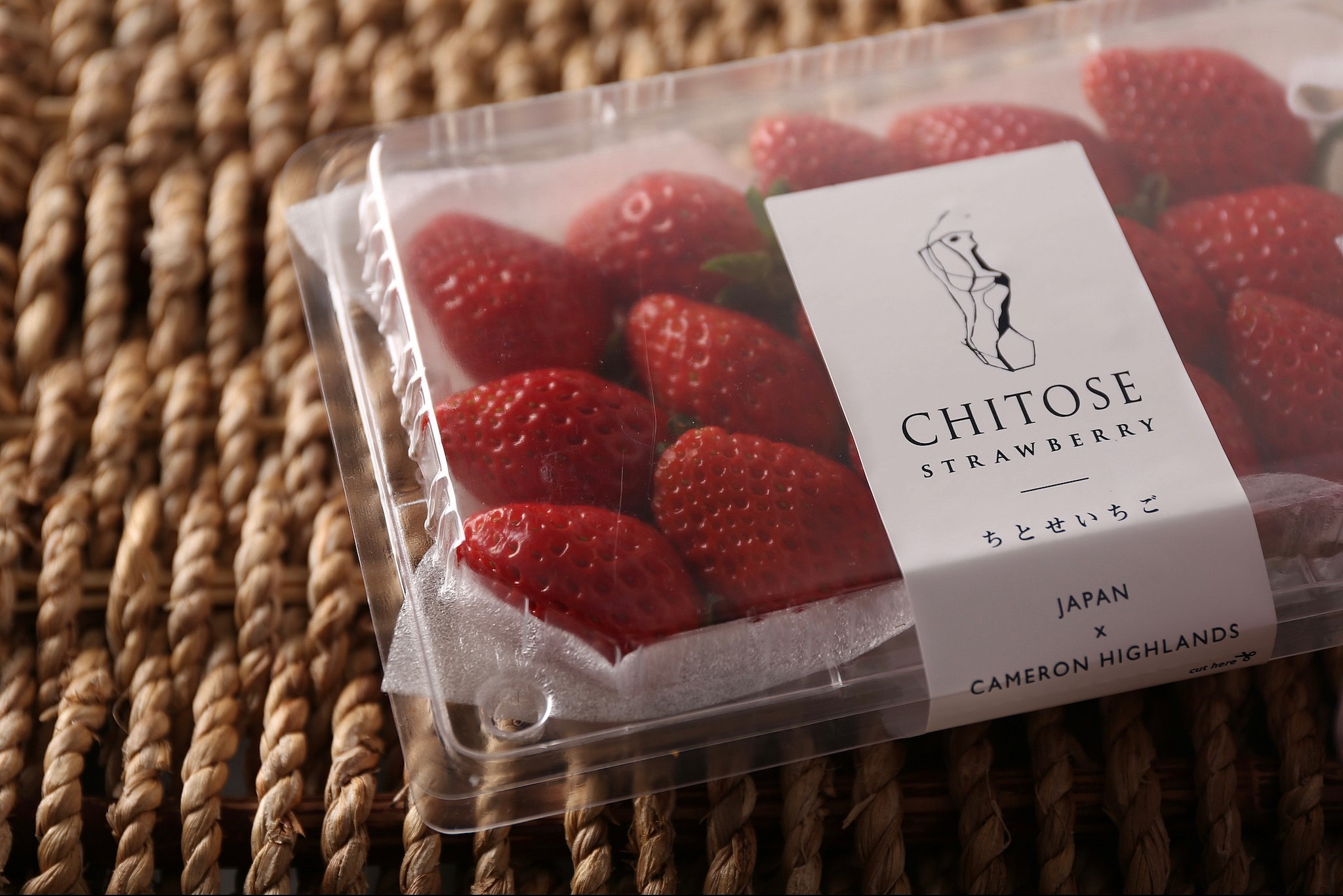 chitose strawberry